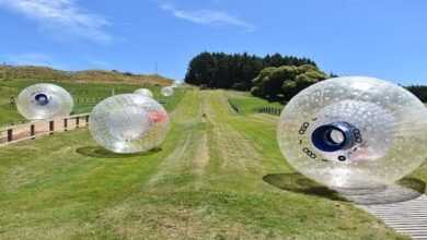 Zorb Balling: A New and Cutting-Edge Adventure